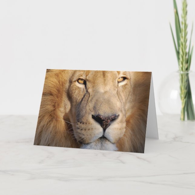 Carte de voeux Lion Images (Devant)