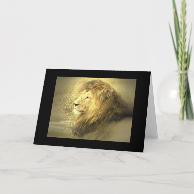 Carte de voeux Lion Pride (Devant)