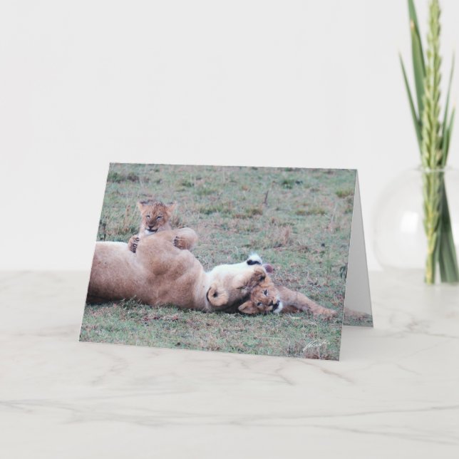Carte de voeux Lioness & Cubs (Devant)