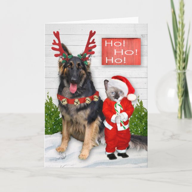 Carte de voeux Little Père Noël Kitten (Devant)