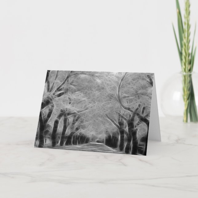 Carte de voeux - Live Oak Alley (Devant)