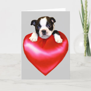 Carte de voeux Love Boston Terrier