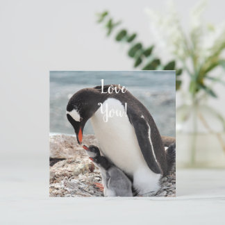 Carte de voeux Love Flat
