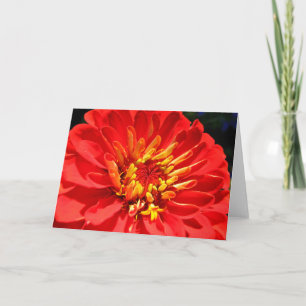 Carte de voeux lumineuse de collection de fleurs