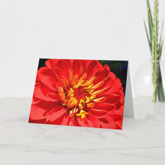 Carte de voeux lumineuse de collection de fleurs (Devant)