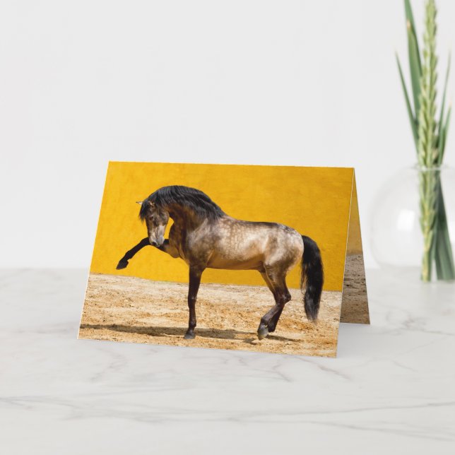 Carte de voeux Lusitano Stallion Horse (Devant)
