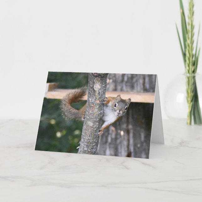 Carte de voeux M. Bickles (Devant)