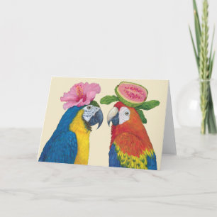 Carte de voeux Macaw