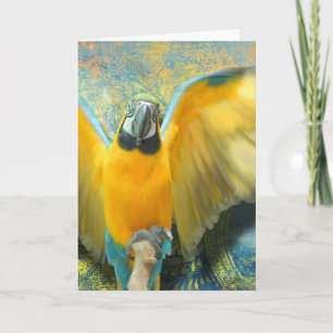 Carte de voeux Macaw
