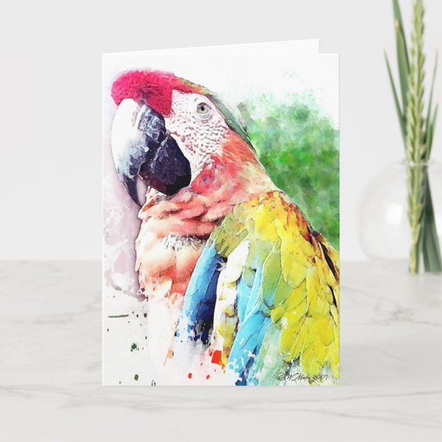 Carte de voeux Macaw Blank (Devant)