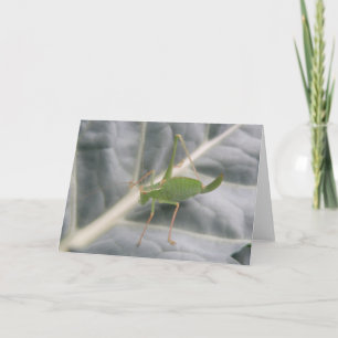 Carte de voeux Macro Cricket Vert