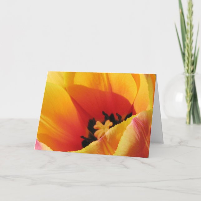 Carte de voeux Macro Tulip Jaune (Devant)