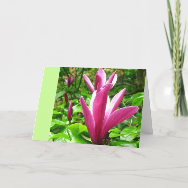 Carte de voeux Magenta Magnolia (Devant)