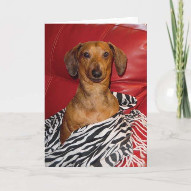 CARTE DE VOEUX MAGNIFIQUE DE MICKEY (Devant)