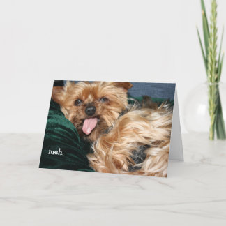 Carte de voeux "meh - doan want"