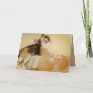 Carte de voeux Meow Cats 5