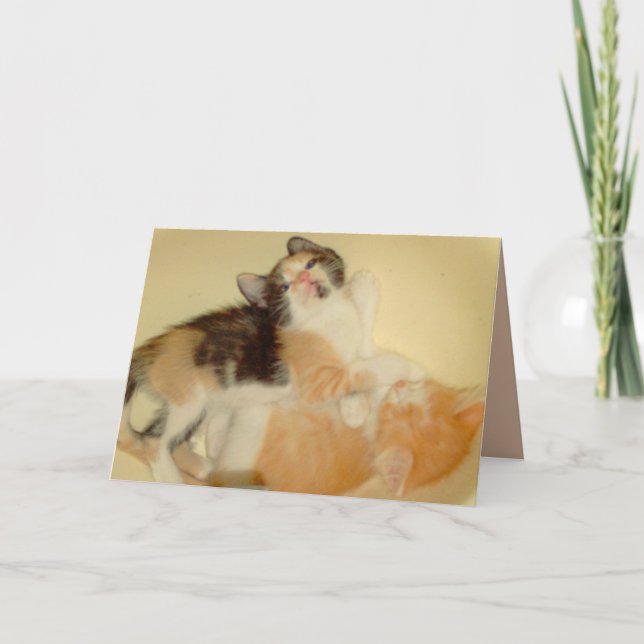 Carte de voeux Meow Cats 5 (Devant)
