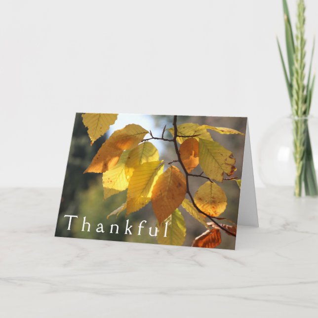 Carte de voeux Merci Autumn Foliage (Devant)