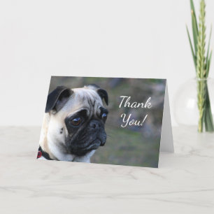Carte de voeux Merci carlin
