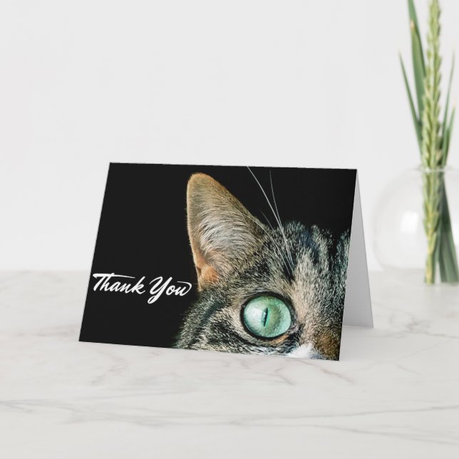 Carte de voeux Merci chat mignon (Devant)