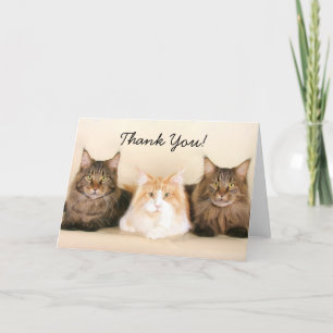 Carte de voeux Merci Maine Coon Cats