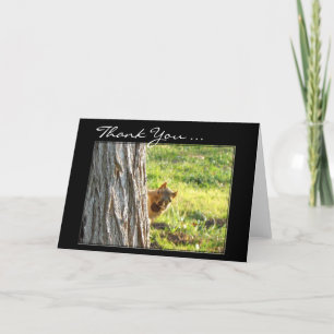 Carte de voeux Merci Squirrel