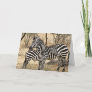Carte de voeux Mère et Bébé Zebra