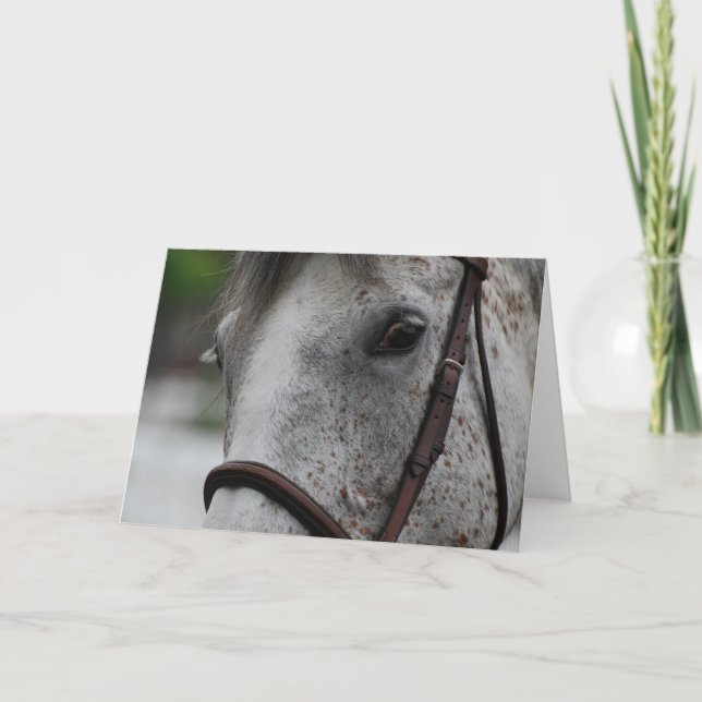 Carte de voeux mignonne de cheval d'Appaloosa (Devant)