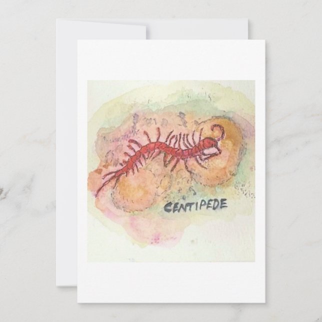 Carte de vœux mille-pattes (Devant)