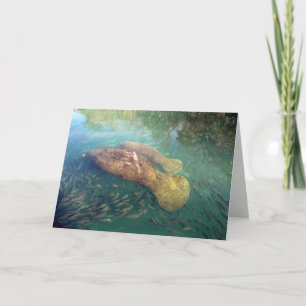 Carte de voeux Momma et Baby Manatee