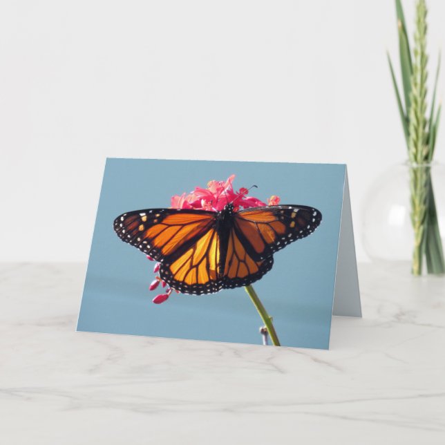 Carte de voeux Monarch Butterfly (Devant)