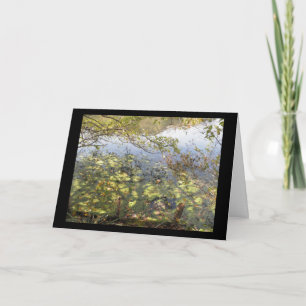 Carte de voeux Mossy Pond