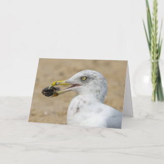 Carte de voeux - Mouette avec moules