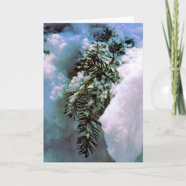 Carte de vœux 'Nature morte d'hiver' - Noël (Devant)