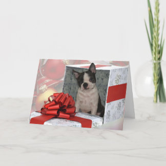 Carte de voeux Noël Boston Terrier
