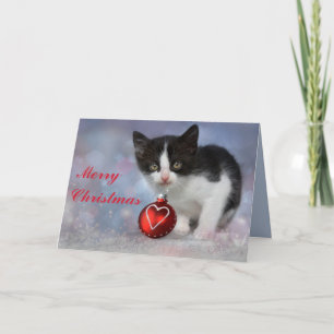 carte de voeux noël kitten