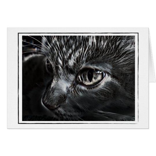 Carte de voeux noire et blanche de chat