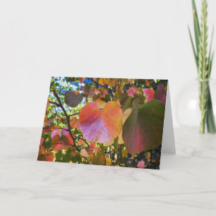 Carte de voeux NorCal Nature : Feuilles du coeur