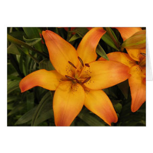 Carte de voeux/note Lilly