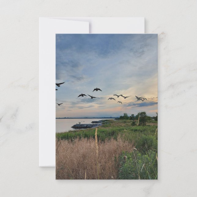 Carte de voeux Oiseaux et coucher du soleil sur le (Devant)