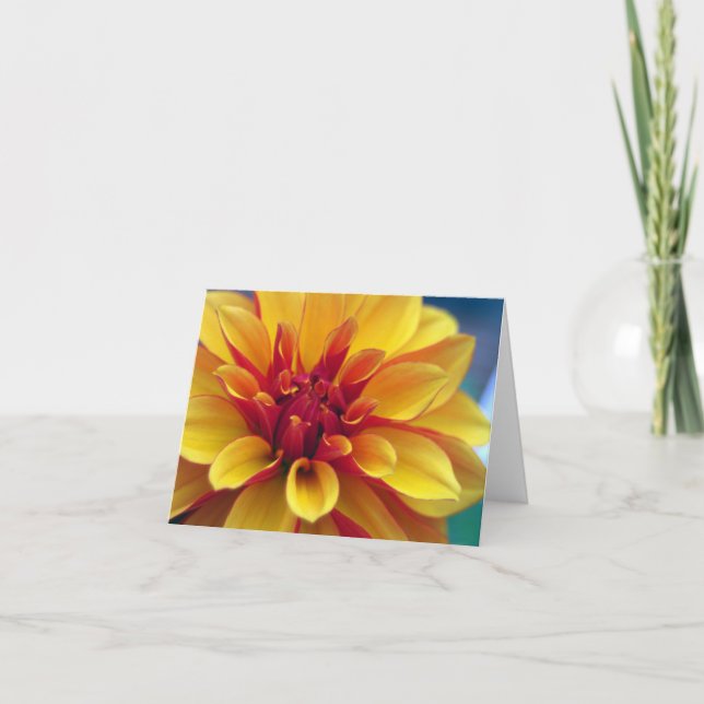 Carte de voeux orange de dahlia (Devant)