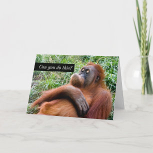 Carte de voeux Orangutan drôle