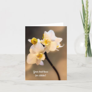 Carte de vœux Orchidée Blanche