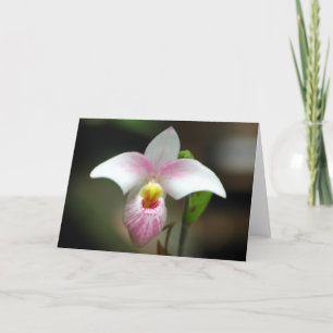 Carte de voeux Orchidée blanche/rose