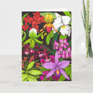 Carte de voeux Orchidée Garden Flowers