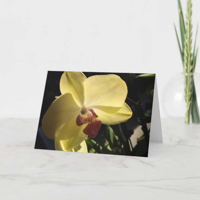 Carte de vœux Orchidée jaune vierge à l'intérieur (Devant)
