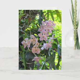 Carte de voeux Orchids