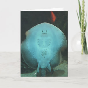 Carte de voeux originale de rayon de Manta