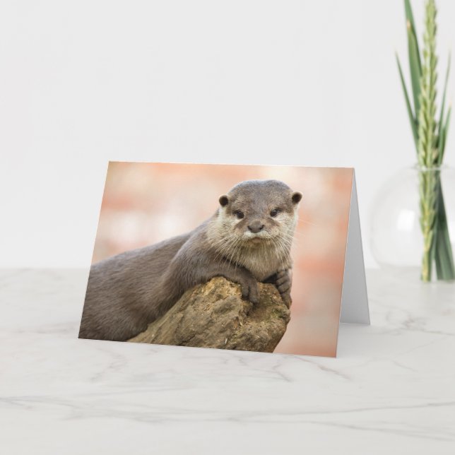 Carte de voeux Otter (Devant)