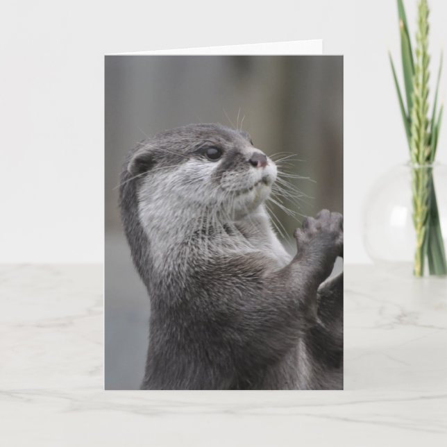 Carte de voeux Otter Mastermind (Devant)